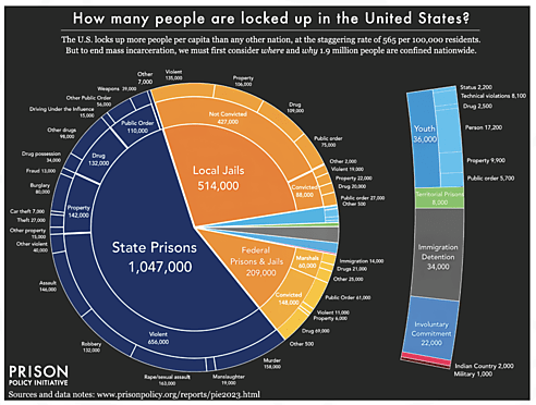 Mass Incarceration Infographic